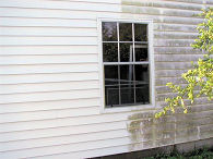 green mold, algae and mildew removal from vinyl siding